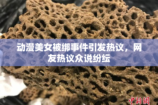 动漫美女被绑事件引发热议，网友热议众说纷纭