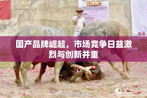 国产品牌崛起，市场竞争日益激烈与创新并重