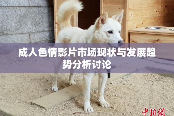 成人色情影片市场现状与发展趋势分析讨论