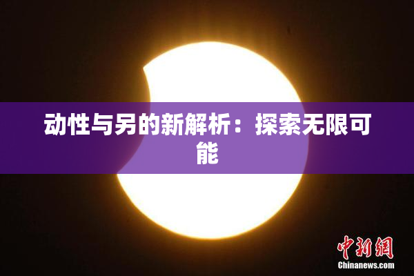 动性与另的新解析：探索无限可能