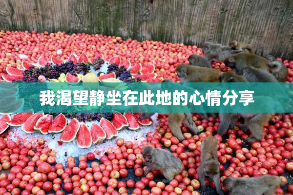 我渴望静坐在此地的心情分享