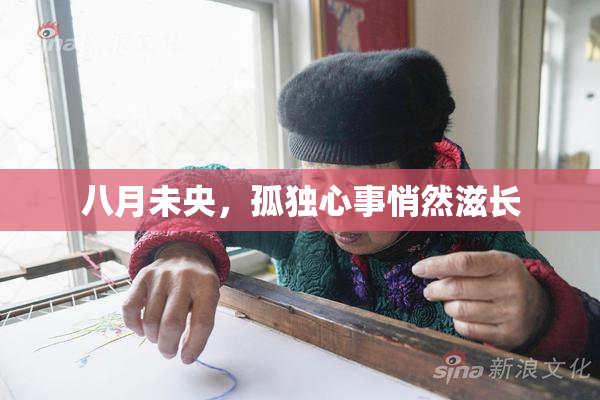 八月未央，孤独心事悄然滋长