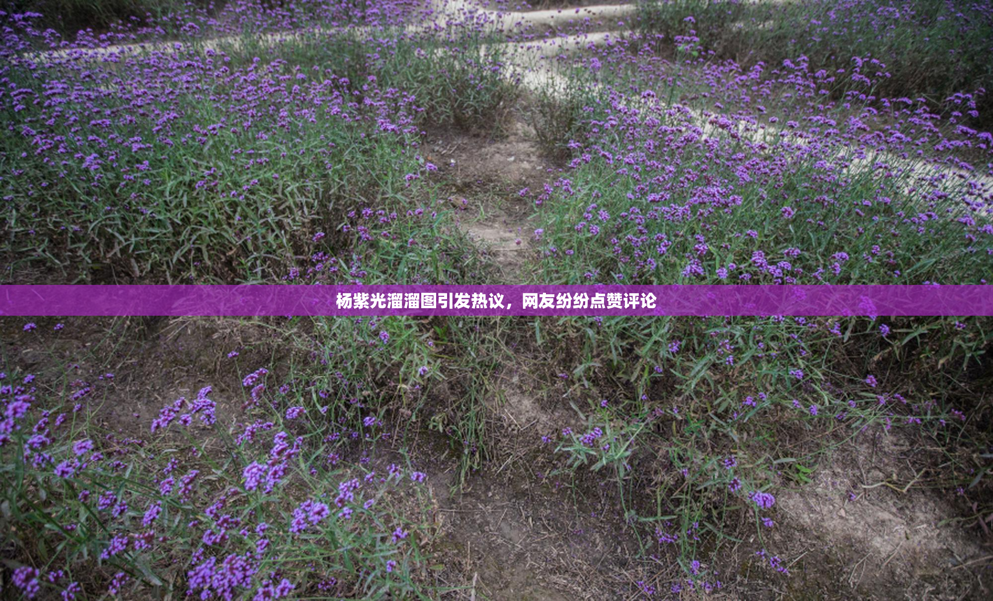 杨紫光溜溜图引发热议，网友纷纷点赞评论