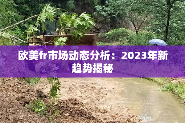 欧美fr市场动态分析：2023年新趋势揭秘