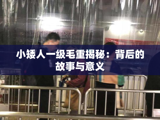 小矮人一级毛重揭秘：背后的故事与意义