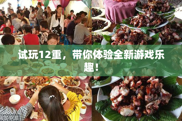 试玩12重，带你体验全新游戏乐趣！
