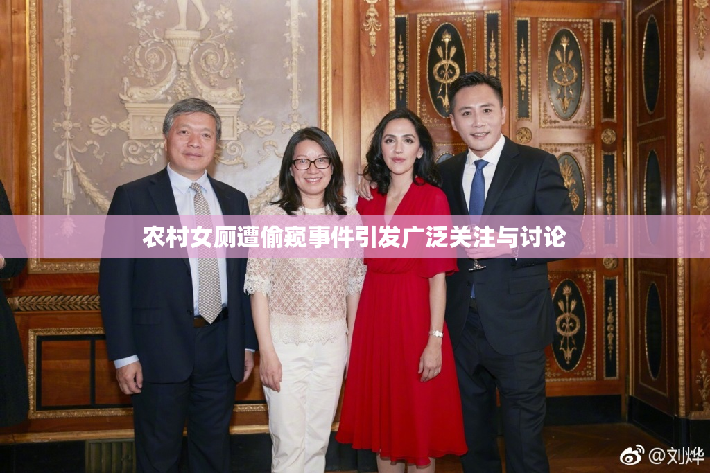 农村女厕遭偷窥事件引发广泛关注与讨论