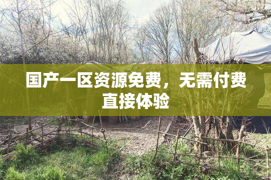国产一区资源免费，无需付费直接体验