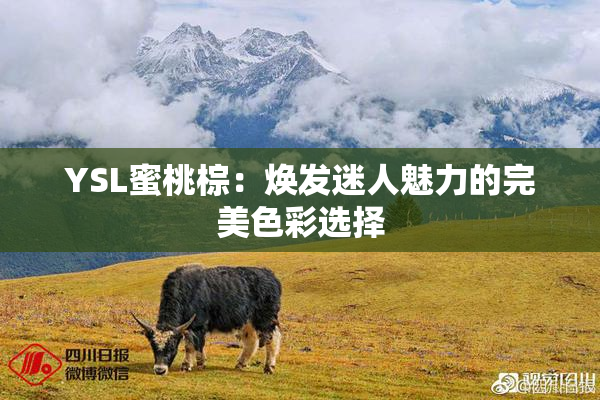 YSL蜜桃棕：焕发迷人魅力的完美色彩选择