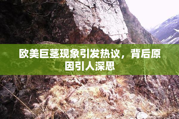 欧美巨茎现象引发热议，背后原因引人深思
