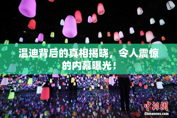 温迪背后的真相揭晓，令人震惊的内幕曝光！