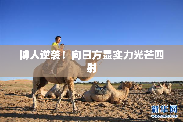博人逆袭！向日方显实力光芒四射