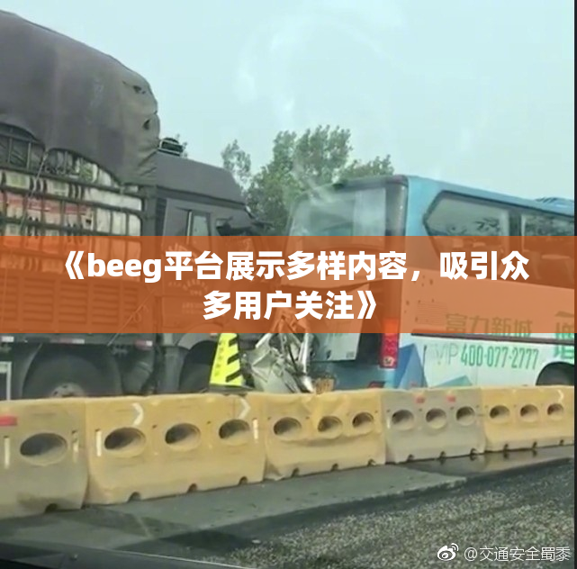 《beeg平台展示多样内容，吸引众多用户关注》