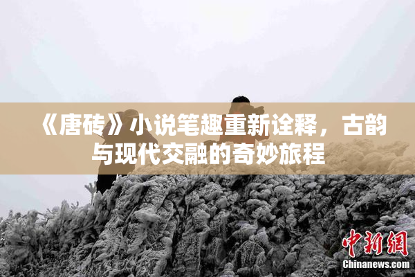 《唐砖》小说笔趣重新诠释，古韵与现代交融的奇妙旅程