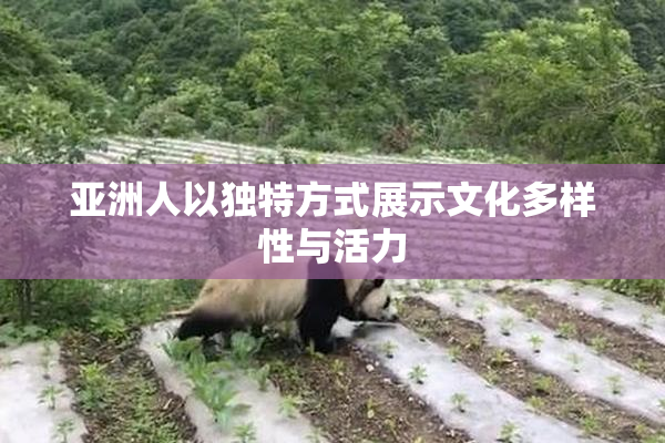 亚洲人以独特方式展示文化多样性与活力