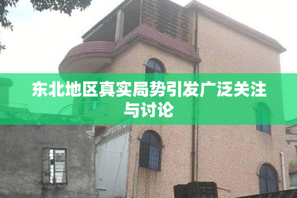 东北地区真实局势引发广泛关注与讨论