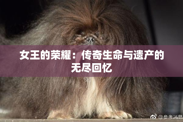 女王的荣耀：传奇生命与遗产的无尽回忆