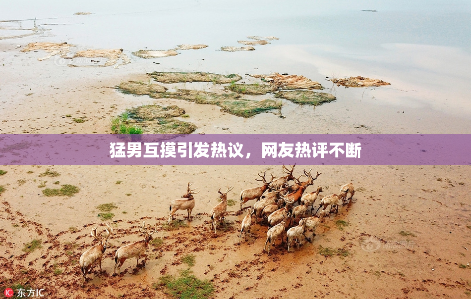 猛男互摸引发热议，网友热评不断