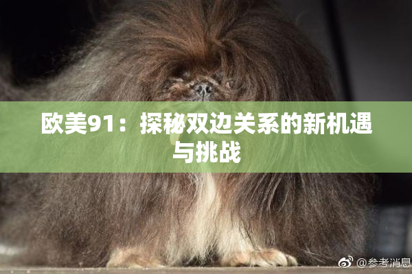 欧美91：探秘双边关系的新机遇与挑战