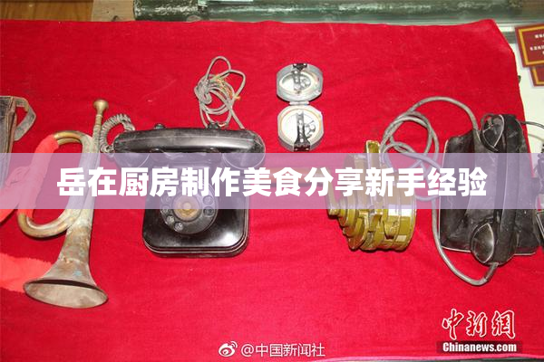 岳在厨房制作美食分享新手经验