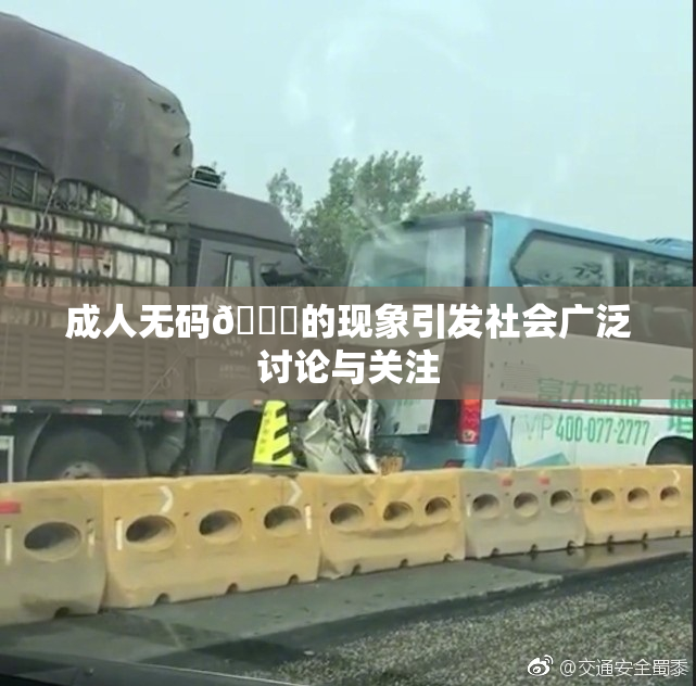成人无码🔞的现象引发社会广泛讨论与关注