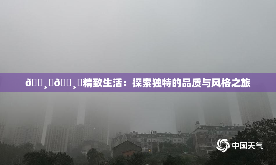 🌸‌🌸‌精致生活：探索独特的品质与风格之旅