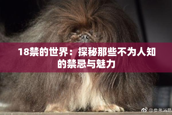 18禁的世界：探秘那些不为人知的禁忌与魅力
