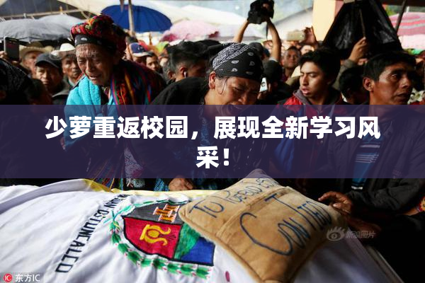 少萝重返校园，展现全新学习风采！