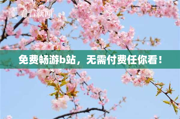 免费畅游b站，无需付费任你看！