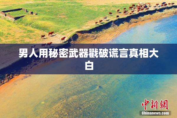 男人用秘密武器戳破谎言真相大白