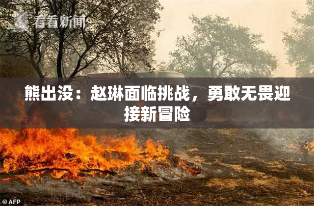 熊出没：赵琳面临挑战，勇敢无畏迎接新冒险