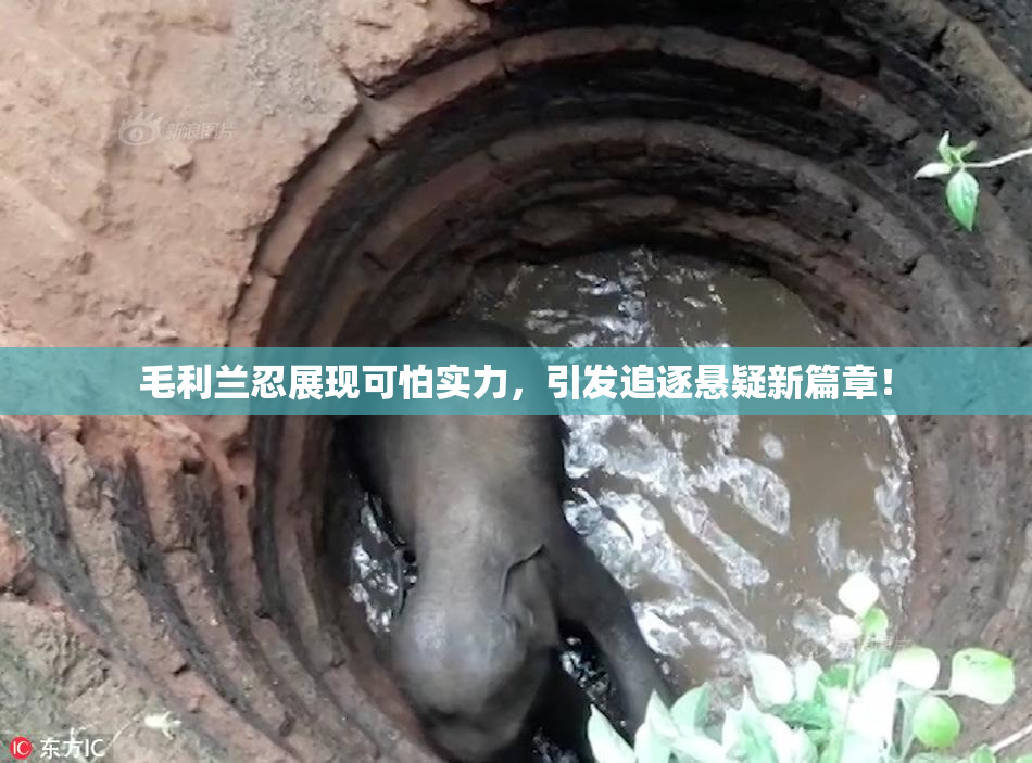 毛利兰忍展现可怕实力，引发追逐悬疑新篇章！
