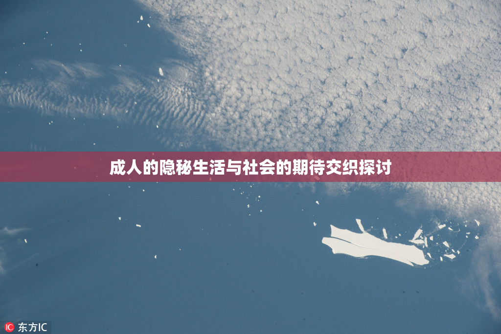 成人的隐秘生活与社会的期待交织探讨