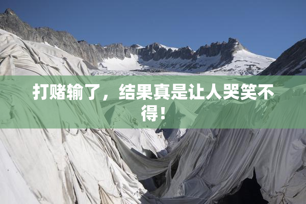 打赌输了，结果真是让人哭笑不得！
