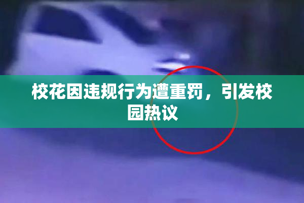 校花因违规行为遭重罚，引发校园热议