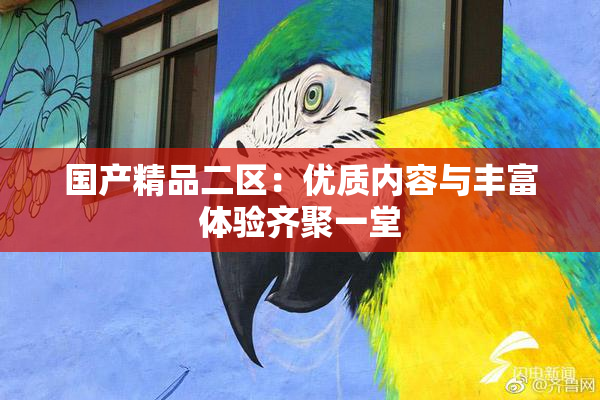 国产精品二区：优质内容与丰富体验齐聚一堂