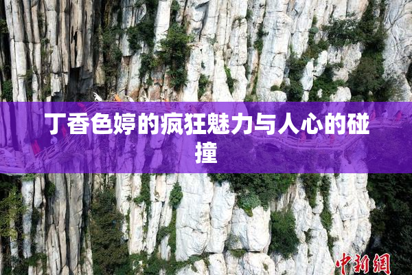 丁香色婷的疯狂魅力与人心的碰撞