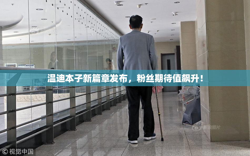 温迪本子新篇章发布，粉丝期待值飙升！