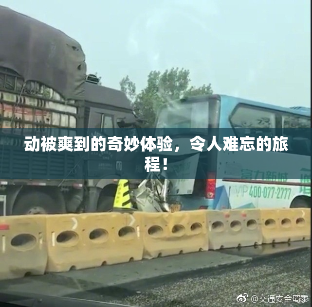 动被爽到的奇妙体验，令人难忘的旅程！