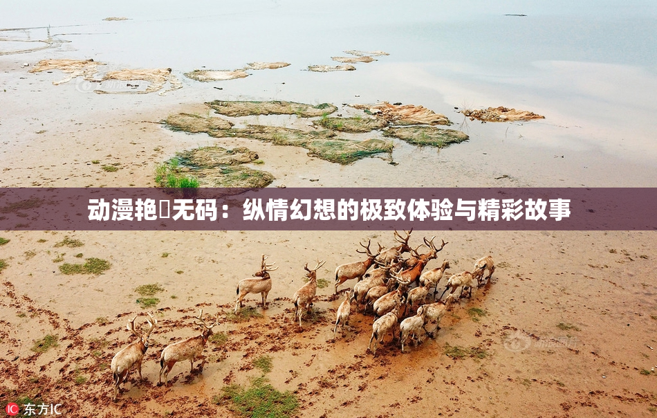 动漫艳鉧无码：纵情幻想的极致体验与精彩故事
