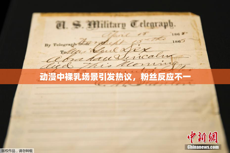 动漫中裸乳场景引发热议，粉丝反应不一