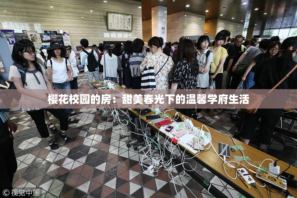 樱花校园的房：甜美春光下的温馨学府生活