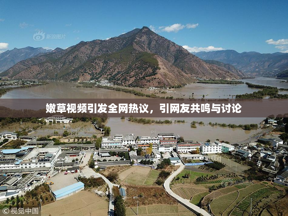 嫩草视频引发全网热议，引网友共鸣与讨论