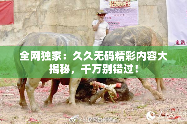 全网独家：久久无码精彩内容大揭秘，千万别错过！