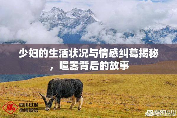 少妇的生活状况与情感纠葛揭秘，喧嚣背后的故事