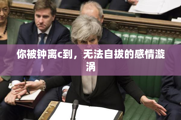 你被钟离c到，无法自拔的感情漩涡