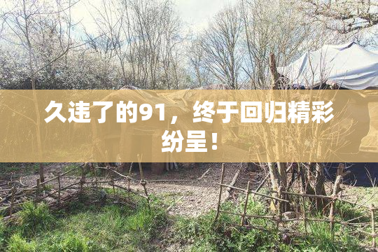 久违了的91，终于回归精彩纷呈！