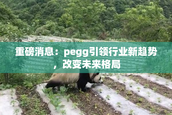 重磅消息：pegg引领行业新趋势，改变未来格局