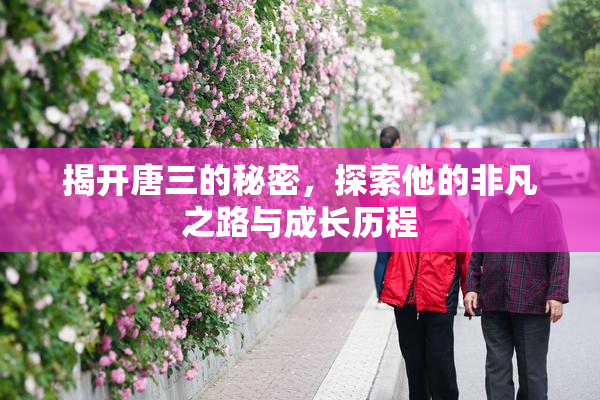揭开唐三的秘密，探索他的非凡之路与成长历程