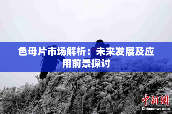 色母片市场解析：未来发展及应用前景探讨